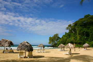 Small-Group Speed Boat and Snorkel Tour from Bocas del Toro