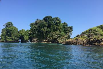Speed Boat tour to Mangrove Point -Starfish Beach -Bocas del Drago and Birds Island