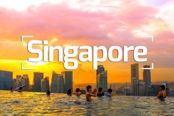 A Delightful Dozen in Singapore