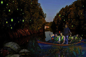 Fireflies Night Tour from Singapore