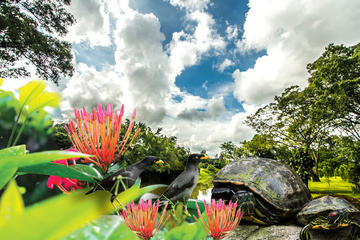 Sustainable Singapore Guided Tour