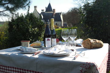 Picnic in the Vines Tour of Chinon, France