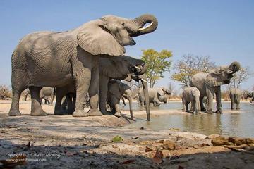 2-Day Amboseli National Park Safari from Nairobi - free airport pick up