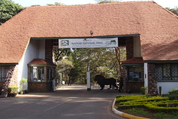 Half Day Nairobi National Park
