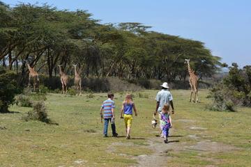 Lake Naivasha Walking with Animals Day Trip From Nairobi