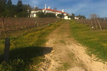 The Cork and Wine Tour around the region of Evora