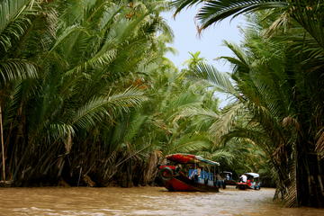 Boat Trip from Ho Chi Minh City to Mekong Delta with Lunch