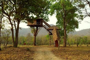 2-Night Private Tour: Masinagudi National Park Wildlife Tour from Coimbatore
