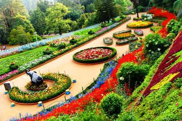 3-Night Ooty Private Luxurious Tour from Coimbatore