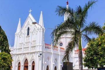 3-Night Tour of Great Cholas Dynasty with Church of our Lady of Velankanni from Tiruchirappalli