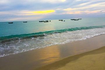 5-Night Beach and Historical Tour of South India