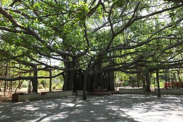 Kalakshetra, Theosophical Society and Elliots Beach - 'A trip to were nature meets with arts and historic significance in Chennai'