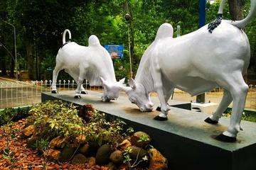 Take a trip to trace 'Life of Pi' in Pondicherry