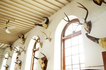 Trip to 'Gass Forest Museum' in Coimbatore
