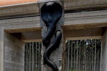 Visit: Isha Yoga Center& Adiyogi Shiva in Coimbatore