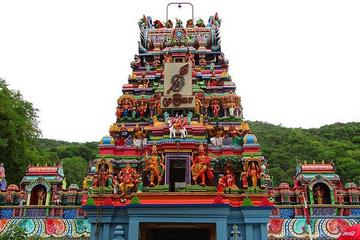 Visit - Thiruparankundram Murugan Temple & Pazhamudhir Solai from Madurai