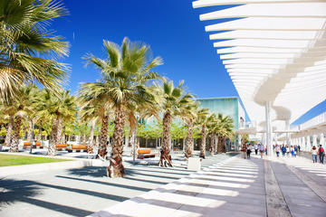 Malaga Private Walking Tour