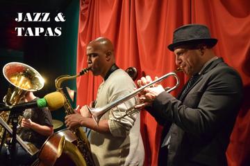 Malaga Tapas and Jazz Show Evening Tour