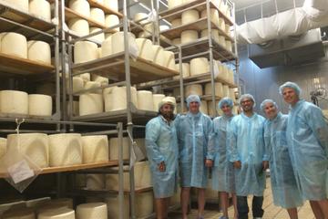 Small-Group Food and Wine Tour from Cagliari