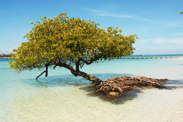 3-Day Morrocoy National Park Tour from Caracas