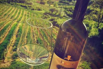 The Dionysus Tour Lunch or dinner and Wine Tasting at Plesivica