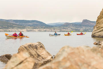 Day Trip Kayak, Wine, and Cheese Tour near Penticton, Canada 