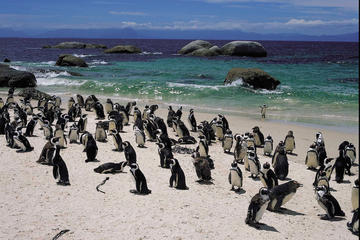 15-Day Picturesque South Africa Journey from Cape Town