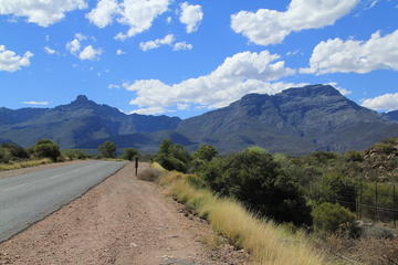 4-Day Classic Garden Route Tour from Port Elizabeth