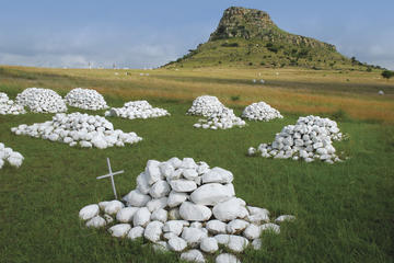 7-Day KwaZulu-Natal Uncovered Tour from Durban