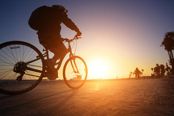 Cape of Good Hope Private Bike Tour from Cape Town