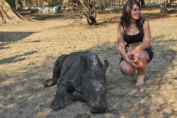 Endangered Wildlife Private Tour from Hazyview