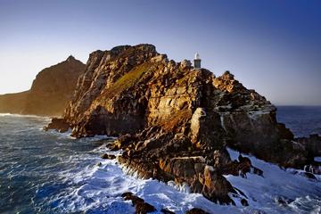 Full-Day Cape Point and Peninsula Tour from Cape Town