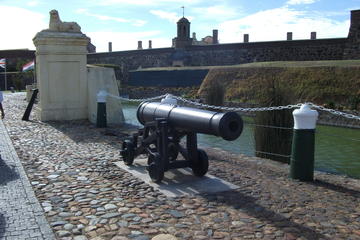 Half-Day Cape Town City and Table Mountain Tour