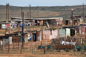 Port Elizabeth Township Private Tour