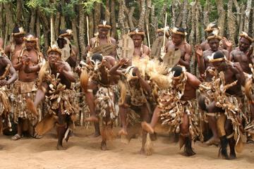 Shakaland Zulu Experience Private Day Tour from Durban