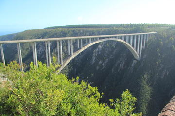 South African 5-Day Garden Route Tour from Cape Town