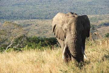South African 6-Day Adventure Tour from Johannesburg