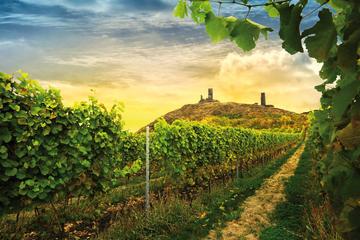Private Bohemian Vineyards and Wine Tasting Tour in Off-Road Vehicle with a Picnic in a Vineyard