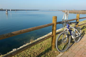 Bike Tour in Lido
