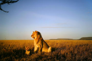 5-Day National Park Safari in Tanzania