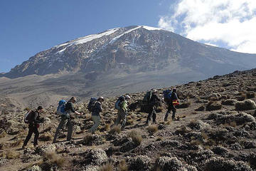 5 days - Mount Kilimanjaro Climbing marangu route