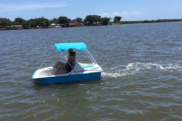 Day Trip Dolphin Pedal Boat Rental in Daytona Beach near Daytona Beach, Florida 