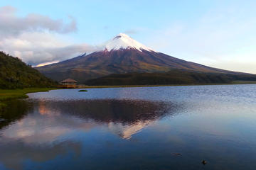 Cotopaxi Full-Day Tour from Quito Including Lunch