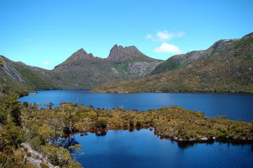 7 Day Private Tour of Tasmania from Hobart 8-11 Passengers