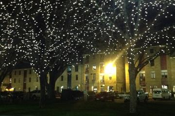 Private City Lights Trip Hobart by Night