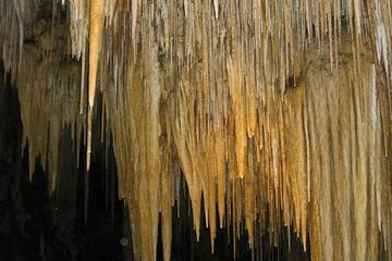 Private Hastings Caves and Ida Bay Railway Day Trip from Hobart