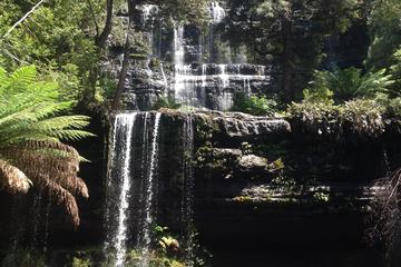 Private Mt Field National Park Day Trip from Hobart Including Salmon Ponds and Bonorong Wildlife Sanctuary