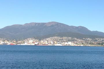 Private Mt Wellington and Tahune Airwalk Day Trip from Hobart