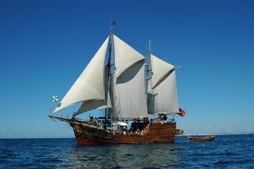Afternoon Sailing and Caves Tour from Portimao