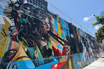 Best of Wynwood: Street Art and Gallery Tour